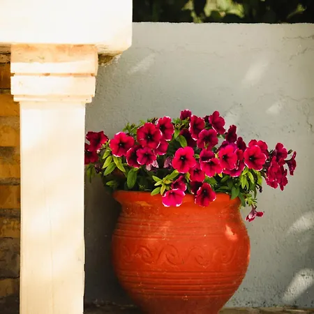 Celestial 公寓式酒店