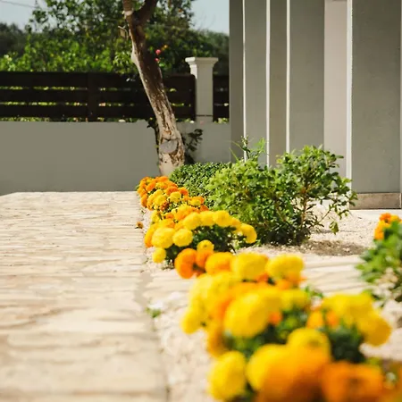 Lejlighedshotel Celestial Kávos